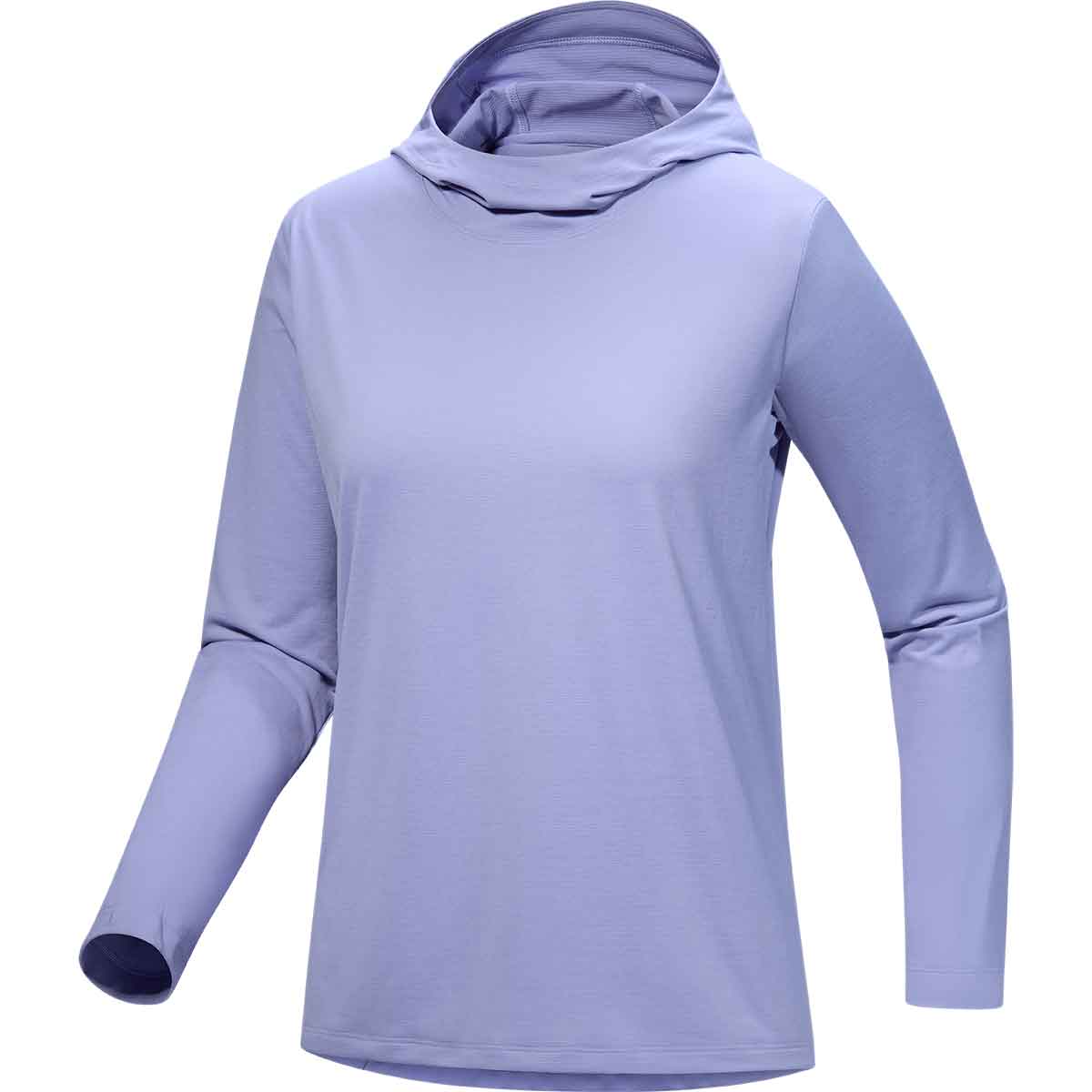 Arcteryx Taema Hoody Women's in Moonstone Heather